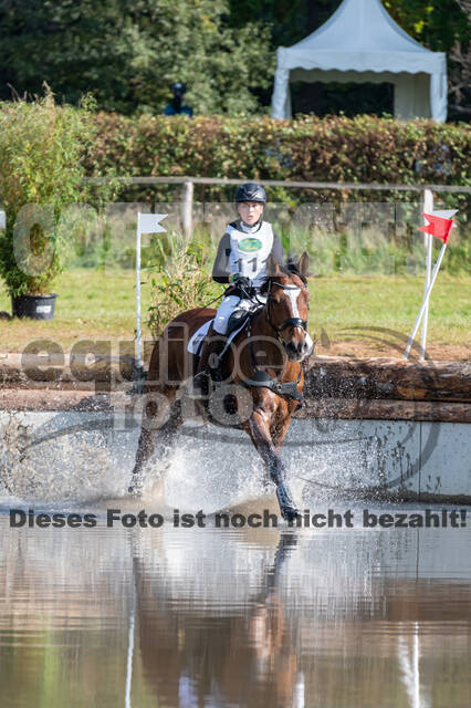 Deutsche Meisterschaft Vielseitigkeit (Luhmühlen)