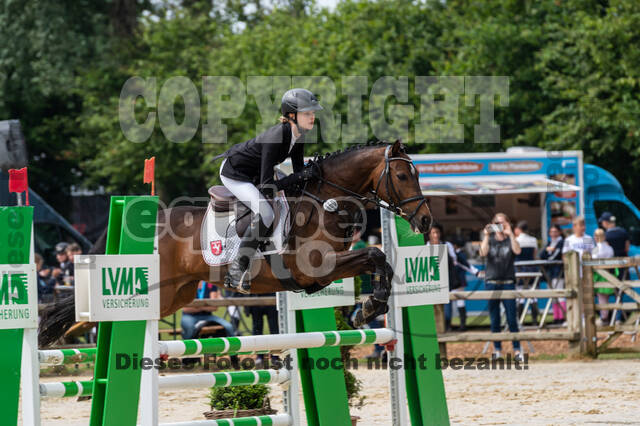 Goldene Schärpe 2021 - Ponys