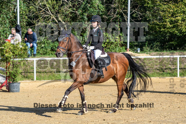 RFV Dinslaken-Hiesfeld (Herbstturnier)