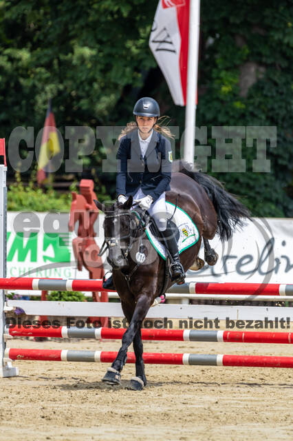 Goldene Schärpe 2021 - Ponys