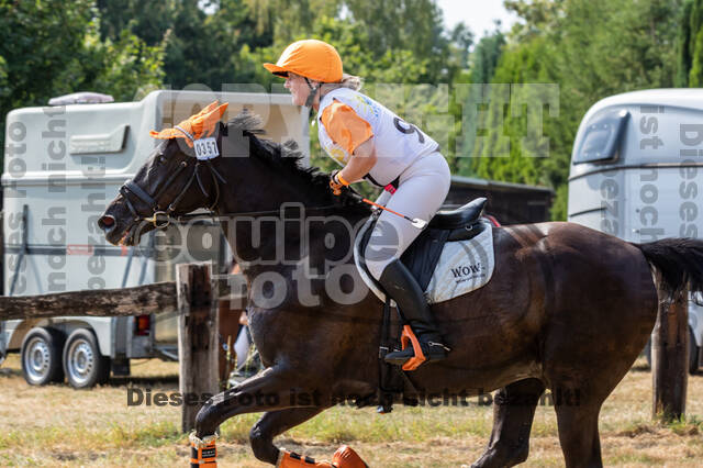 Late-Entry Vielseitigkeit Hamminkeln/Wesel (01.+02.08.2020)