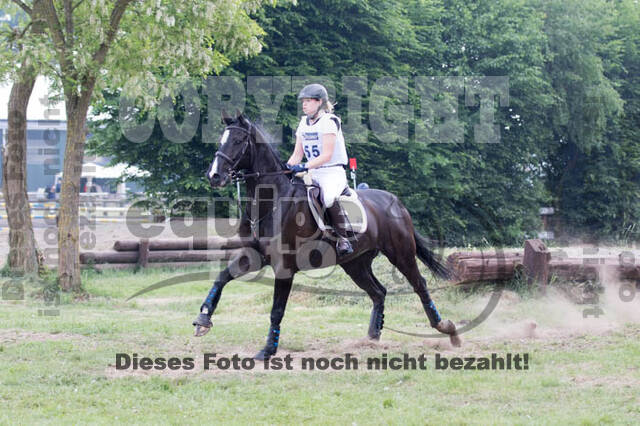 Vielseitigkeitsturnier ZRFV von Lützow Hamminkeln