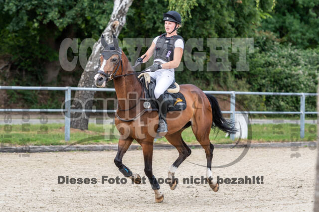 Late-Entry-Vielseitigkeit Langenfeld (11.+13./14.06.2020)