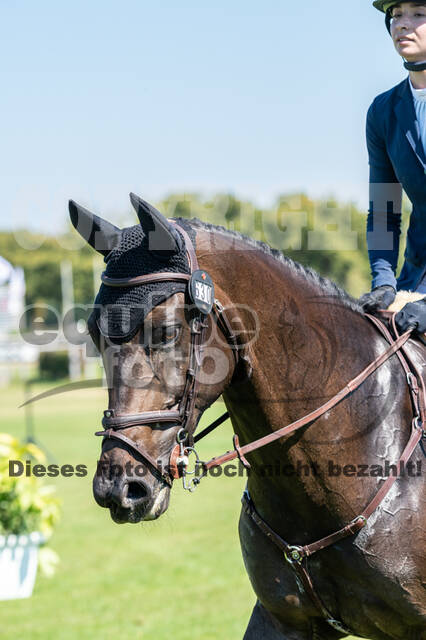 Kronenberg - De Peelbergen (August 2020)
