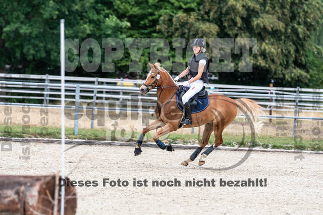 Late-Entry-Vielseitigkeit Langenfeld (11.+13./14.06.2020)