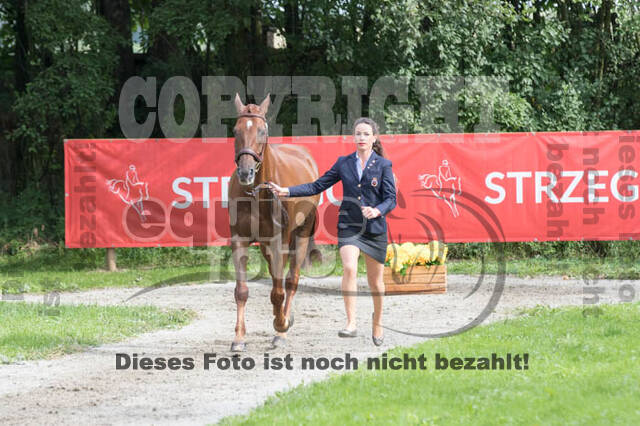 FEI European Championship Eventing 2017