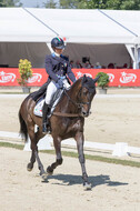 FEI European Championship