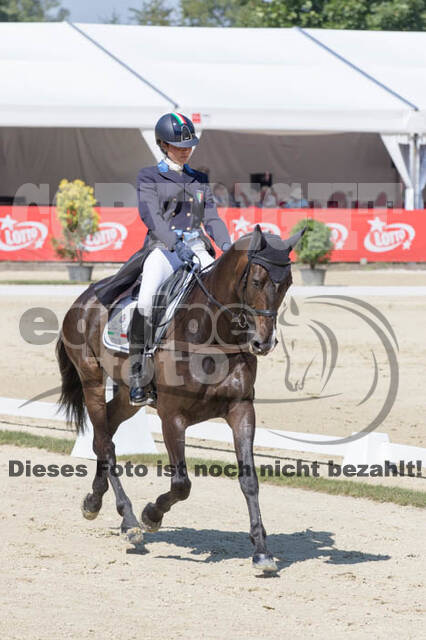 FEI European Championship