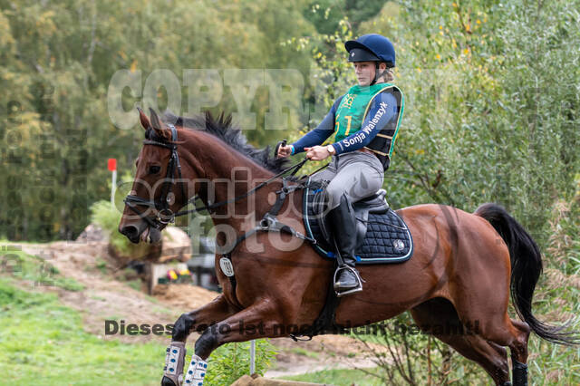 Vielseitigkeit RSV Wesel Obrighoven (26.+27.09.2020)