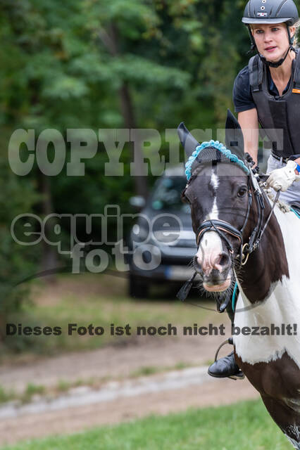 Late-Entry-Vielseitigkeit Langenfeld (11.+13./14.06.2020)