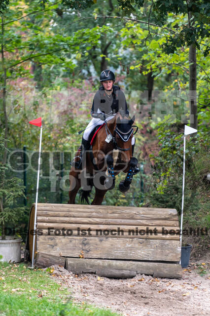 Goldene Schärpe 2020 - Pferde