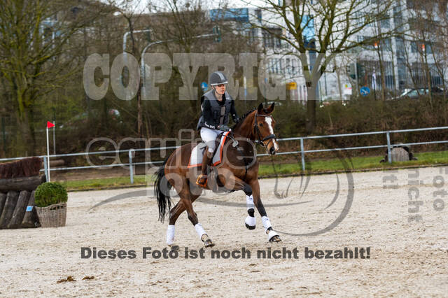 Eventing im Pferdesportzentrum Rheinland (Late Entry 14.03.2022)
