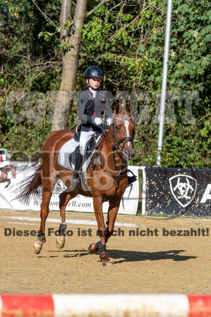 RFV Dinslaken-Hiesfeld (Herbstturnier)
