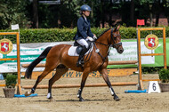 Goldene Schärpe 2021 - Ponys
