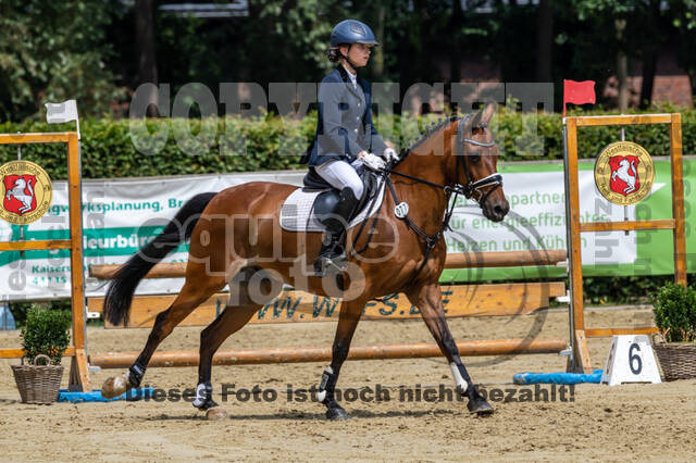 Goldene Schärpe 2021 - Ponys