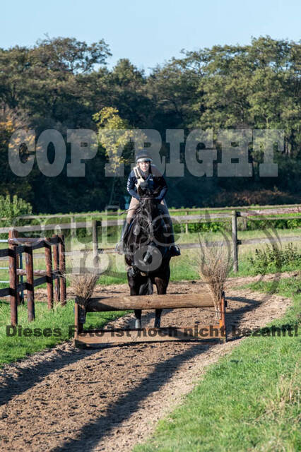 Vielseitigkeitslehrgang mit Jürg Kurbel (9.+10.11.2019)