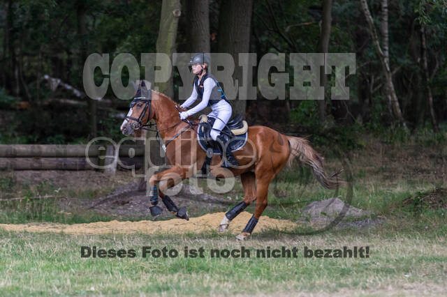 Late-Entry Vielseitigkeit Hamminkeln/Wesel (01.+02.08.2020)