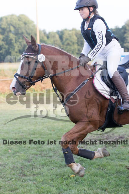 IGV Kleve