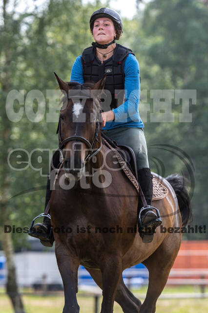 Hunter Geländetraining 10.07.2021 (Sonsbeck)