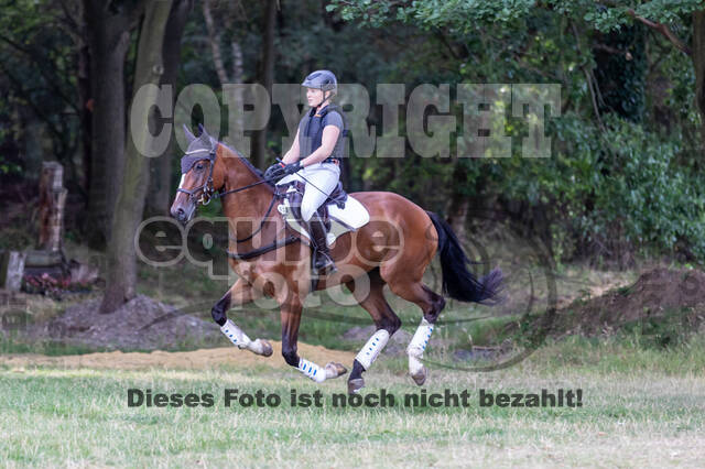 Late-Entry Vielseitigkeit Hamminkeln/Wesel (01.+02.08.2020)