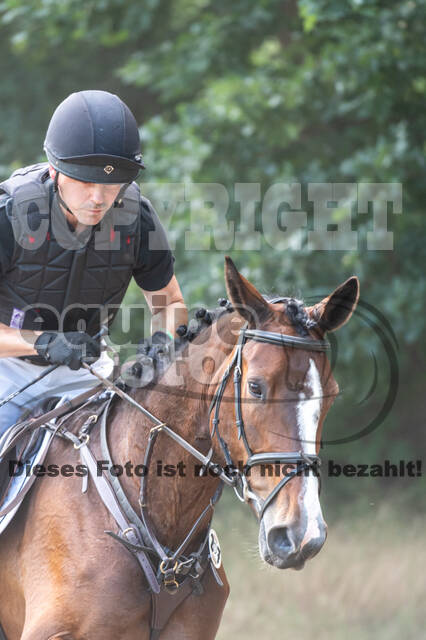 Late-Entry-Vielseitigkeit Langenfeld (11.+13./14.06.2020)