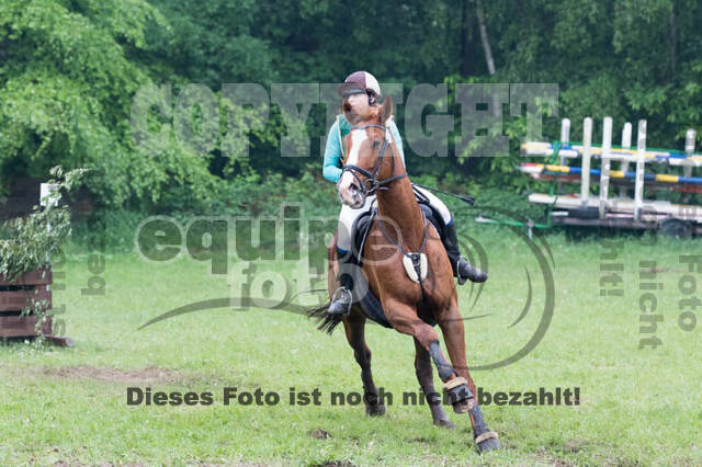 Vielseitigkeitsturnier ZRFV von Lützow Hamminkeln
