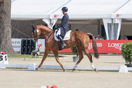 FEI European Championship Eventing 2017