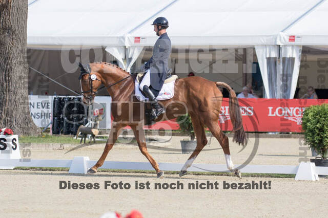 FEI European Championship Eventing 2017