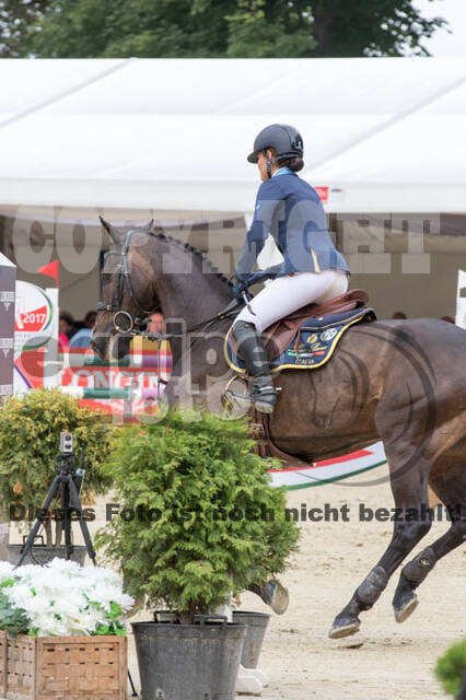 FEI European Championship