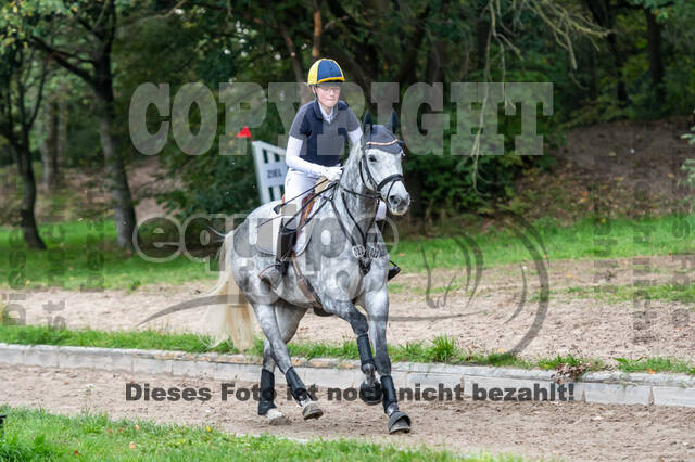 Goldene Schärpe 2020 - Pferde