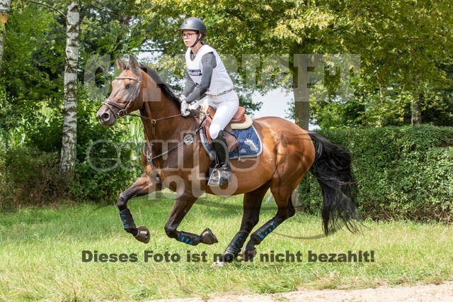 Late-Entry-Vielseitigkeit Gahlen (18.07.2020)