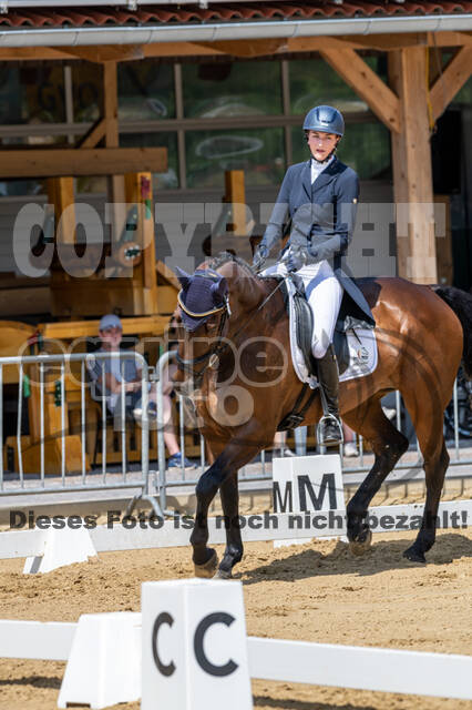 Westerstede Horse Trials 2021