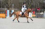 Eventing Langenfeld 2018