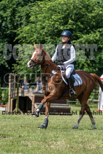 Goldene Schärpe 2021 - Ponys