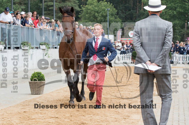FEI European Championship Eventing 2019