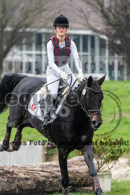 Goldene Schärpe 2020 - Pferde