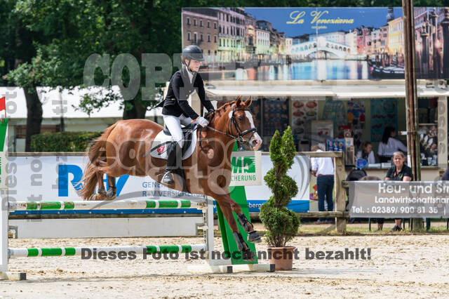 Goldene Schärpe 2021 - Ponys