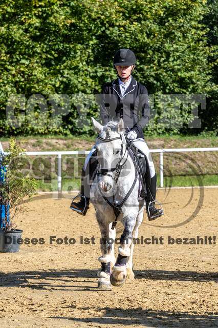RFV Dinslaken-Hiesfeld (Herbstturnier)