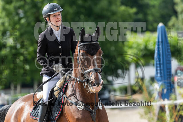 Late-Entry-Vielseitigkeit Langenfeld (06.+07.07.2020)