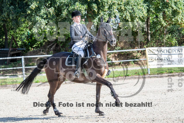 Landesturnier Rheinland, Vielseitigkeit, 22.+23.08.2020
