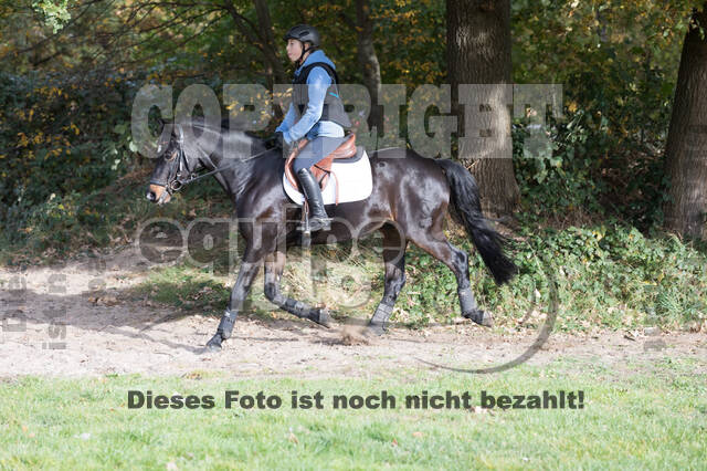 IGV Lehrgang der Sieger der Cups mit Frank Ostholt
