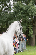 FEI European Championship Eventing 2017