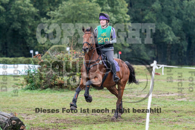 Vielseitigkeit RSV Wesel Obrighoven (26.+27.09.2020)