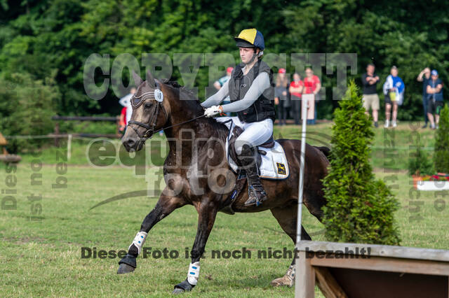 Goldene Schärpe 2021 - Ponys