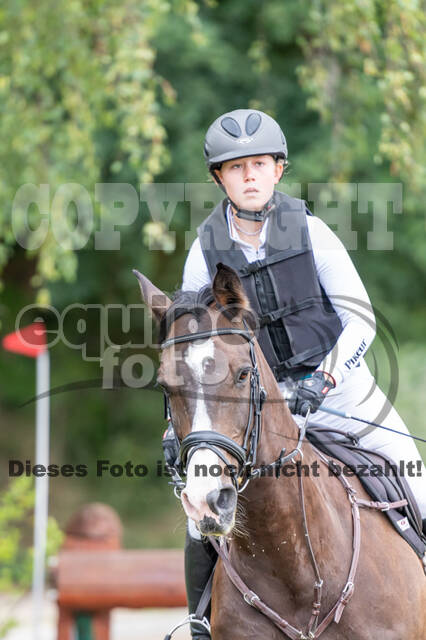 Late-Entry-Vielseitigkeit Langenfeld (11.+13./14.06.2020)