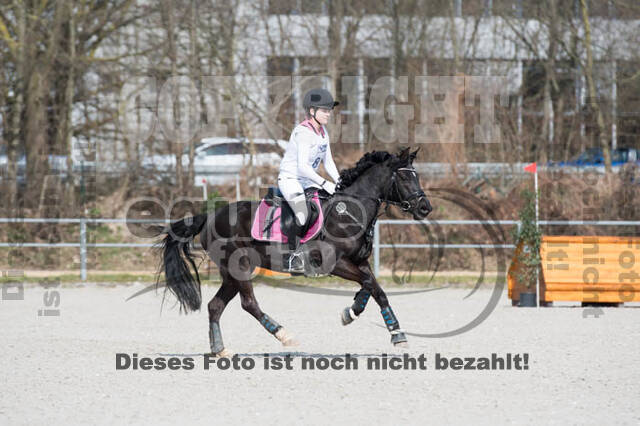 Eventing Langenfeld 2018
