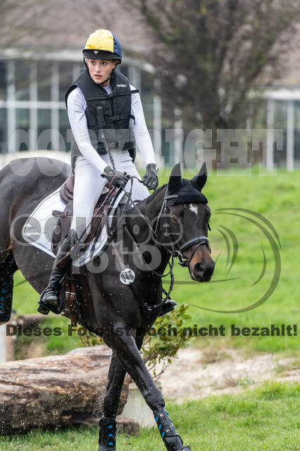 Goldene Schärpe 2020 - Pferde