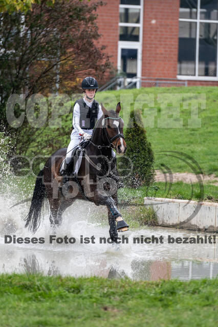 Goldene Schärpe 2020 - Pferde