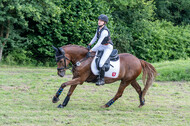 Goldene Schärpe 2021 - Ponys