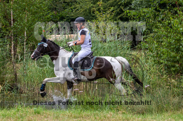Late-Entry Vielseitigkeit Hamminkeln/Wesel (01.+02.08.2020)